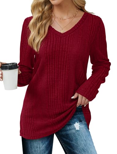 Saloogoe Womens Long Sleeve Tops V Neck Shirts Lightweight Tunic Sweaters Fashion 20242
