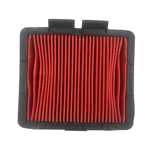 Filtre à air pour CRF230L FTR223 et CRF250M moteur de moto
