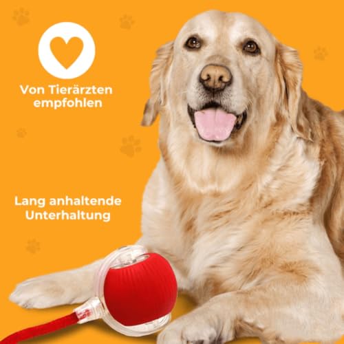 Donubiiu Magic Ball, Interaktiver Spielball, Kauzauber Ball für Hunde, Elektrisch Interaktiver Hundespielzeug Kauzauberball mit Schwanz (1 Stück)