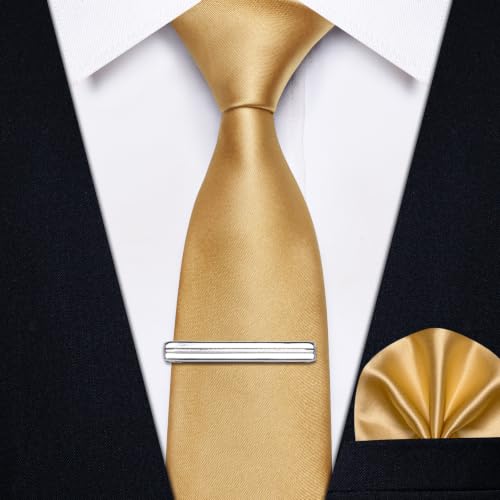 Image of YourTies Skinny Ties for Men Solid 2.4 inch Slim Necktie Handkerchief Clip Set | Satin Mens Tie Pocket Square Tie Clip Gift Box,Solid Color,Formal Casual Wedding Business Party,Suit Shirt Tuxedo