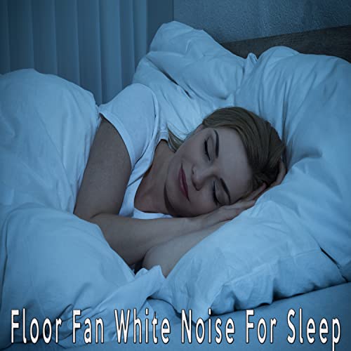 List of Ten Best Floor Fan For White Noise Top Picks 2023 Reviews