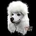 CreepyParty Poodle Head Mask for Adults - Realistic Animal Mask for Halloween, Dog Costume Accessory for Parties, Cosplay, Photo Booth Props & Pranks, White