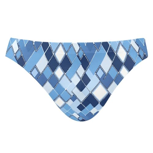 Blue Buffalo Check Plaid Swim Briefs for Men Swimsuit Bikini Swimwear S B0403957