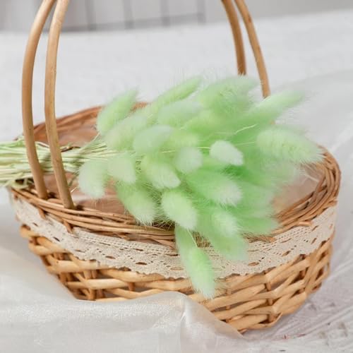 Fleurs séchées naturelles non toxiques 45 cm pour décoration intérieure saine et durable