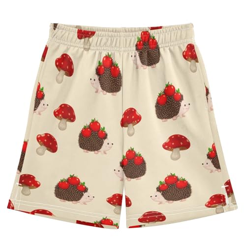 Hedgehogs and Mushrooms Athletic Shorts with Zipper Pockets, Youth Boys Athletic Running Shorts for Summer