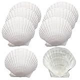 Miraclekoo 8 Pcs Large Scallop Shells for Crafts,4-5 Inches Baking Shells Natural Large Sea Shells White Scallops for Wedding Decor Crafts DIY Painting