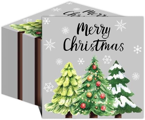 100 Pieces Christmas...