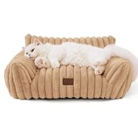 BEDSURE Katzenbett groß orthopädisches Katzensofa - 61x46x25cm Hundesofa kleine Hunde waschbar Katzencouch, rutschfeste Katzenbett flauschig, Kamel
