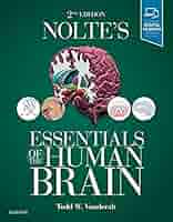 洋書 Duvernoy The Human Brain Second edition 洋書 Duvernoy The Human Brain Second edition The Human Brain