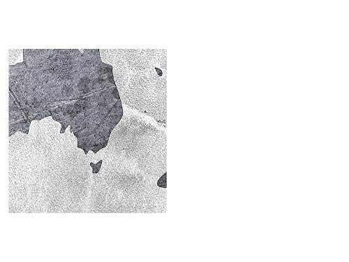 Runa Art Mappa del Mondo Quadri Soggiorno Grande