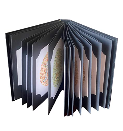 Image of Ishihara Book 38 Plate Edition with Occluder and User Mannual