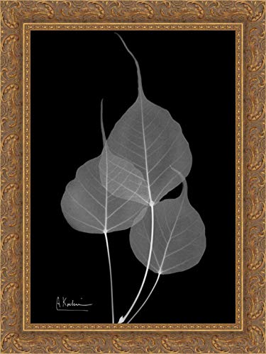 Koetsier, Albert 28x36 Gold Ornate Framed Canvas Art Print Titled: BoTree E158