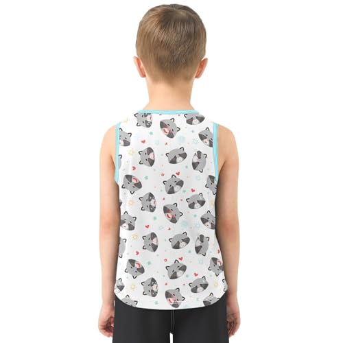 Baby Boys Sleeveless Tank Top Baby Raccoon Toddler Athletic Vest 3-10T3
