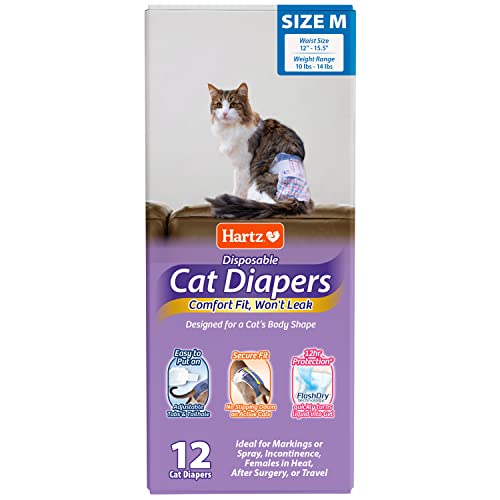 Best Cat Diapers Reviews and Buying Guide 2022 BNB