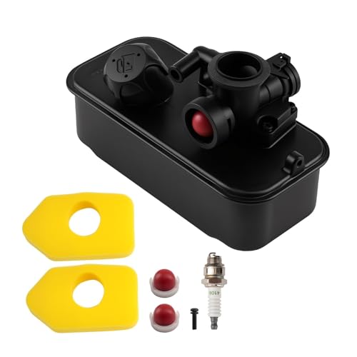 Carburateur tondeuse résout panne moteur séries 494406 9B900 16410