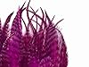 1 Dozen - Short Magenta Grizzly Whiting Farm Rooster Saddle Hair Extension Feathers Summer Fly Tying Craft Supply | Moonlight Feather #2