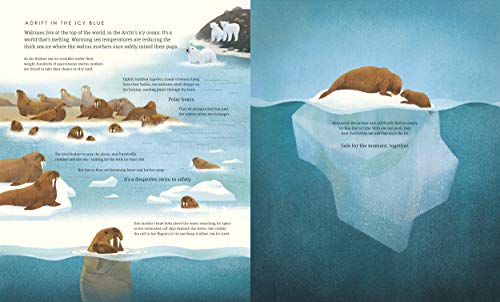 Blue Planet II: For young wildlife-lovers inspired by David Attenborough's series (BBC Earth) - Image 6