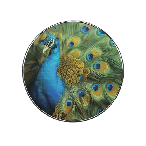 Peacocks Feather Fridge Magnets, Strong Flat Refrigerator Ma
