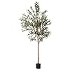 6ft artificial olive tree realistic faux silk indoor plant with lifelike olives sturdy natural wood trunk perfect for home office decor includes free beginners guide ebook  urban country home decor