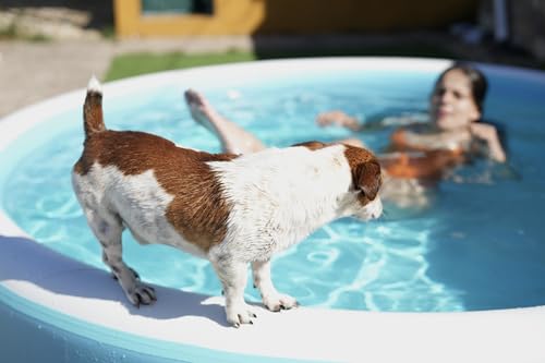 Image of Ipoolgo Inflatable Swimming Pool