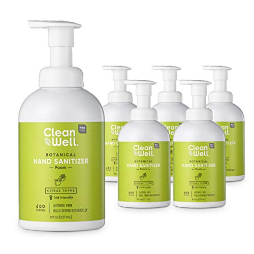 CleanWell Botanical Foaming Hand Sanitizer