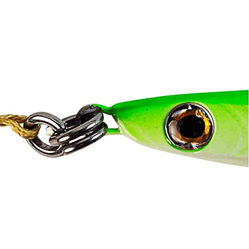 Palomar Fishing Flat Side 100g Ocean Jig Fast Vertical Deep Drop Lure | MUSTAD Hook-Owner Ring | Kevlar Assist Cord| 2-Pack Bulk Prices | Next-Gen Graphene Paint | US Owned