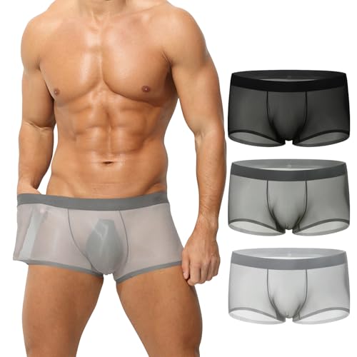 Men's Sexy Lingerie Ultra Thin Ice Silk U Touch Comfortable, Breathable, Sexy Boxers Panties