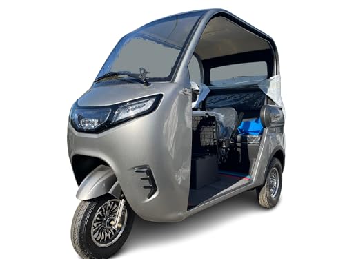 EVトゥクトゥク MEI 側車二輪 走行65km 最高速50-53km/h 公道走行可能 屋根付き 坂OK マイクロカー 超小型モビリティー 小型 ev 2 人 乗り 3人乗り TUKTUK (グレー)