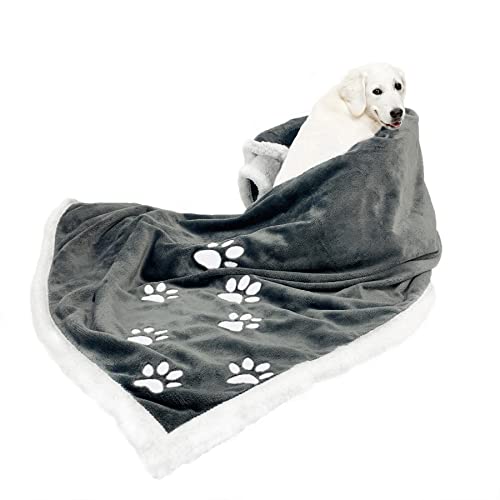 List of Top Ten Best Waterproof Blanket For Dogs [Top Picks 2023 Reviews]