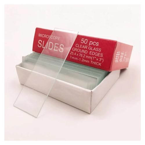 {pi 50 / p^XCh 7101 7105 pi(7101)