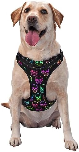 Adjustable Pet Harness Collar and Leash Set for Dogs Puppy and Cats Outdoor Training and Running, Soft Vest Harness (neon Skulls)