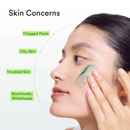 Image of Abib Pore Clay Pack Cleanser Heartleaf Charcoal Foam, 4.05 fl oz, Mousse Form, Oil Control, Unscented