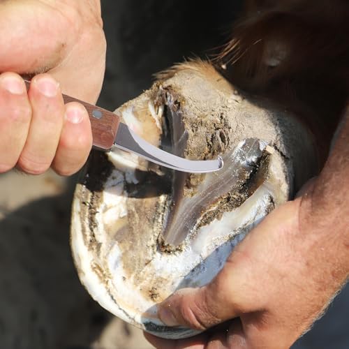 Image of Left and Right Handed Hoof Knives with Wooden Handle 2Pack Farrier Hoof Trimming Knife Set of Horses Cow Donkey