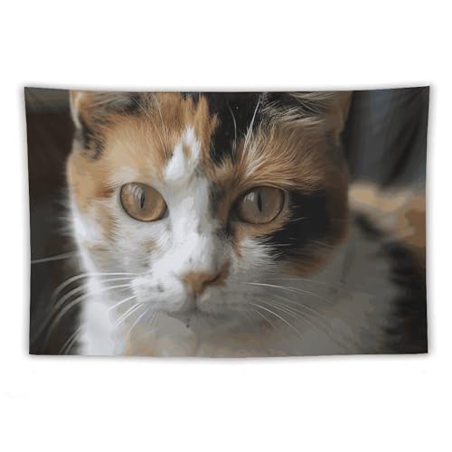 Tapisserie de chat esthétique pour déco de chambre zen tenture magique salon style bohème