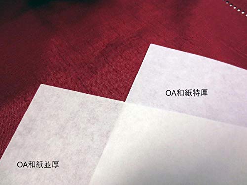 Amazon | 和紙のイシカワ OA和紙並厚 白 B4判 100枚入 10袋 WP-584800