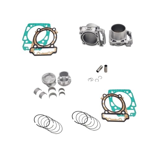 Kit de 2 cylindres de haute précision avec bagues pour BRP800 référence 420413430