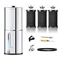 Joypur 1G Gravity-fed Water Filter System ?PM-2 Black Purification Elements