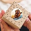 500PCS Beaver Stickers Party Favors -Little Beaver Animals Themed Stickers Party Supplies Decorations Carnival Birthday Wedding Party Gifts #3