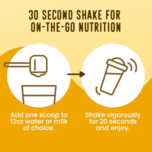 Image of FlavCity All in One Protein Shake Powder, Banana Bread - On the Go Meal Alternative + Collagen Peptides, Reishi & Cordyceps - Focus, Skin, Hair & Joint Support - 100% Grass Fed Whey, 20 Servings