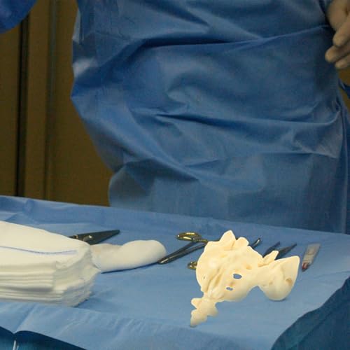 Modèle anatomique du sacrum humain en PVC lavable de taille réelle