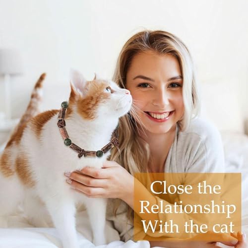 Image of cature Care by Nature Cat Catnip Toy,Teething Toy,Natural Cat Sticks,Teaser Toys,Chewing Toy,Molar Toy,Cat Chasing Toy,Dental Toy,Treats Interactive Cat Toys For Kitten Cat