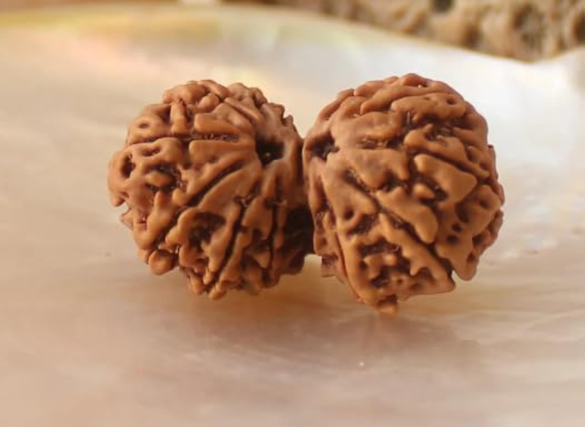 Gauri Shankar Rudraksha Pendant, IGL Certified