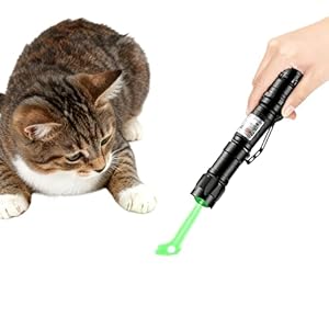 Generisch Gr&uuml;ner Lichtpointer manuell interaktiv Katzenhundespielzeug Starlight Projektor Langstreckenstrahl Pr&auml;sentationshilfe Haustiertraining Verfolgungsspiel Soforteinsatz (A)