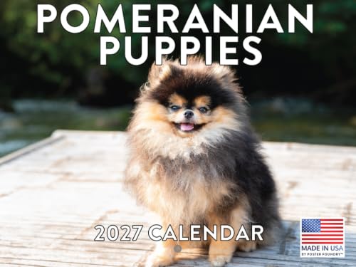 Poster Foundry Pomeranian Puppy Calendar 2027 Monthly Wall Calender