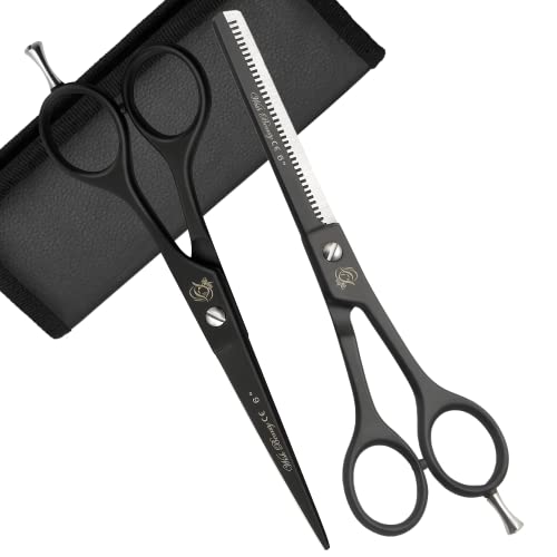 Professional Hairdressing Scissors Barber Salon Hair Cutting Sharp Razor Shear (6" Hair Scissors + Thinning Scissors)