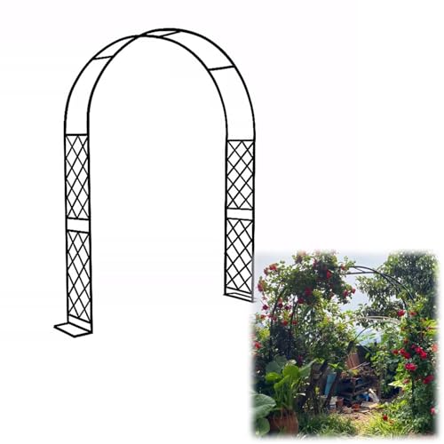 Arche de jardin treillis métallique noir : protégez et guidez vos plantes