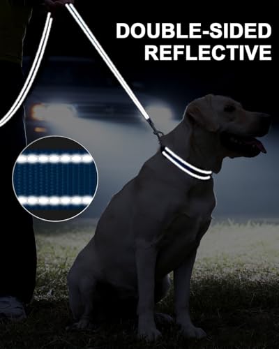 Taglory Hundeleine Kleine Hunde Leicht | Doppelseitig Reflektierend | Gepolsterter Griff | Bis zu 10 kg | 1.2m x 2cm | Himmelblau