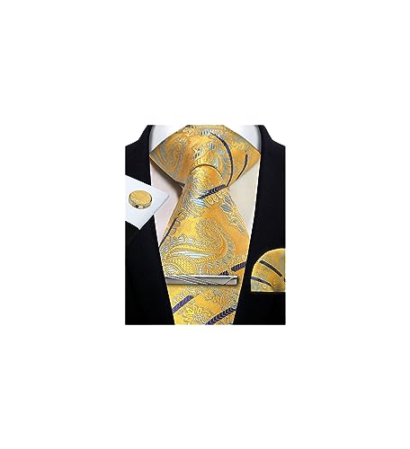 Image of Paisley Floral Mens Tie Formal Necktie Pocket Squares Ties Clips Cufflinks Classic for Men Set