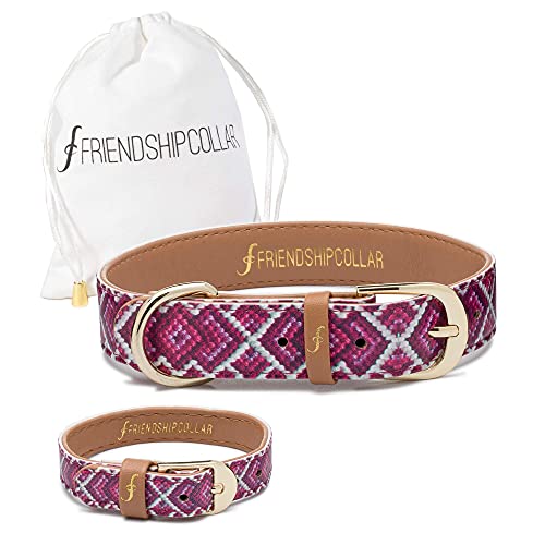 Pet Collar and Matching Bracelet