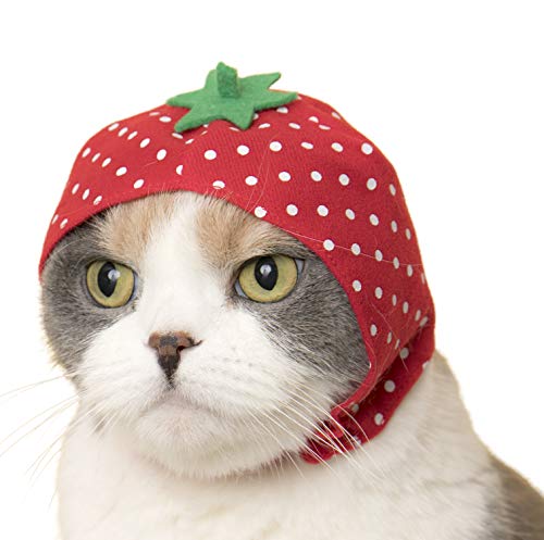 image for Kitan Club Cat Cap - Pet Hat Blind Box Includes 1 of 6 Cute Styles - S